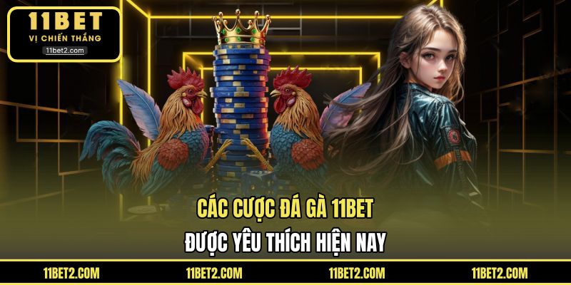 Các cược đá gà 11BET được yêu thích hiện nay