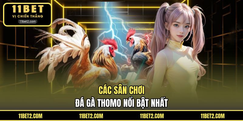 Các sân chơi đá gà Thomo nổi bật nhất