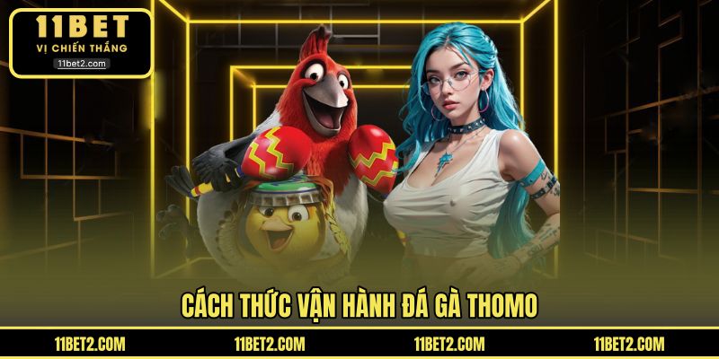 Cách thức vận hành đá gà Thomo