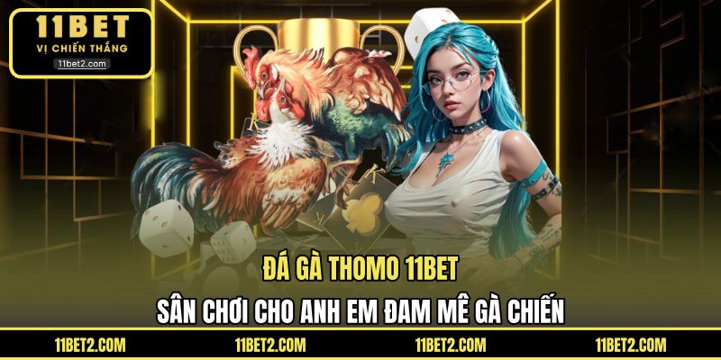 Đá Gà Thomo 11BET – Sân Chơi Cho Anh Em Đam Mê Gà Chiến