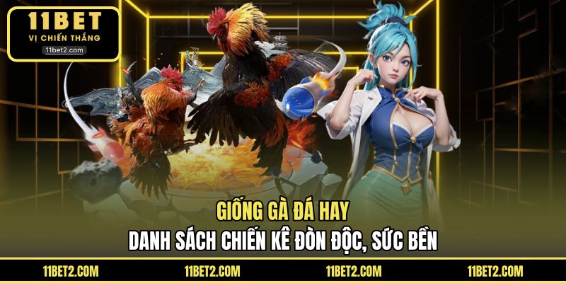 Giống Gà Đá Hay - Danh Sách Chiến Kê Đòn Độc, Sức Bền