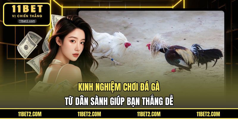 Kinh Nghiệm Chơi Đá Gà Từ Dân Sành Giúp Bạn Thắng Dễ