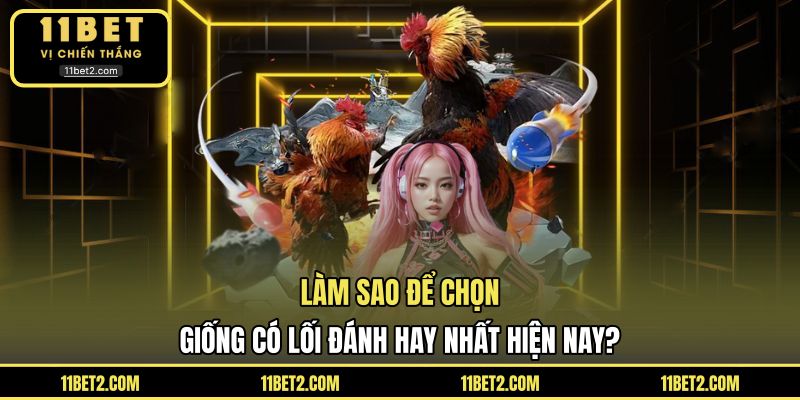 Làm sao để chọn giống có lối đánh hay nhất hiện nay?