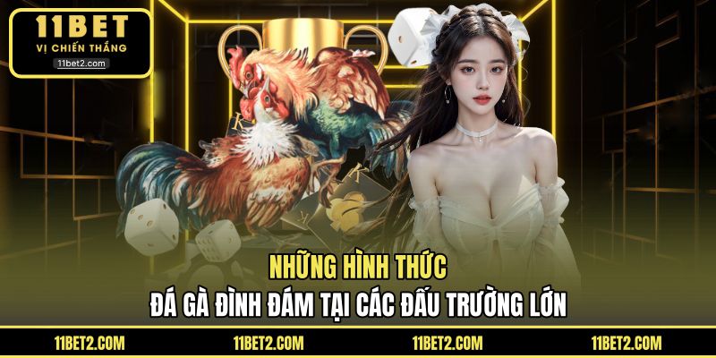 Những hình thức đá gà đình đám tại các đấu trường lớn