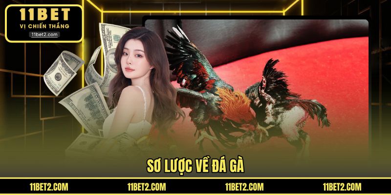 Sơ lược về đá gà