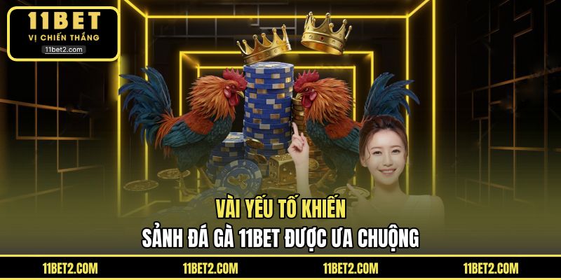 Vài yếu tố khiến sảnh đá gà 11BET được ưa chuộng
